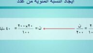 طريقة حساب النسبه المئويه من عدد