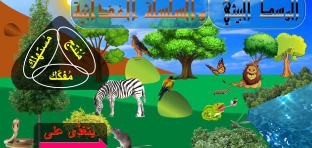 بحث حول الوسط البيئي سنة سادسة – خليجنا نت 1 بحث حول الوسط البيئي سنة سادسة – خليجنا نت