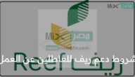 ما شروط دعم ريف للعاطلين عن العمل؟ وزارة البيئة والمياه والزراعة توضح