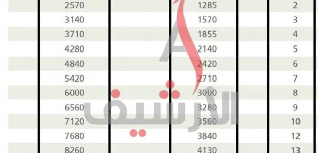كم راتب الضمان الاجتماعي الجديد 1444