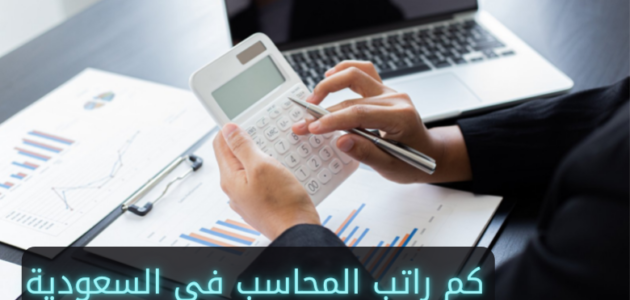 رواتب المحاسبين القانونيين في السعودية