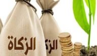 دفع زكاة الفطر عن طريق الراجحي 1444