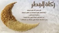 هل زكاة الفطر فرض – موقع خليجنا