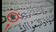 كم سجدة يحتوي عليها القران الكريم بين طياته وفي آياته المباركة