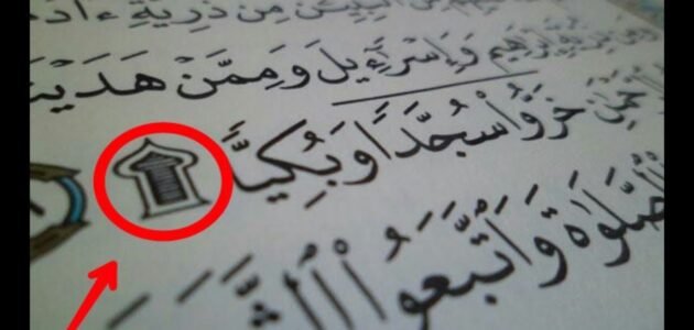 كم سجدة يحتوي عليها القران الكريم بين طياته وفي آياته المباركة