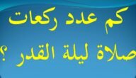 كيفية صلاة ليلة القدر وكم عدد ركعات هذه الصلاة