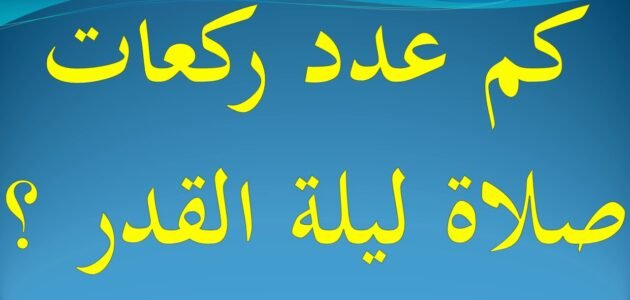 كيفية صلاة ليلة القدر وكم عدد ركعات هذه الصلاة