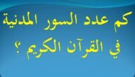 كم عدد السور المكية في القرآن الكريم