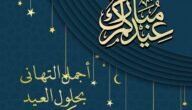 الرد على عيدكم مبارك وعساكم من عواده