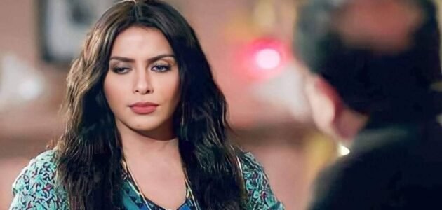 معلومات عن شيرين الطحان وزوجها – خليجنا