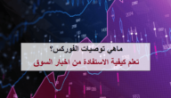 توصيات فوركس فورية أهم أنواع توصيات فوركس