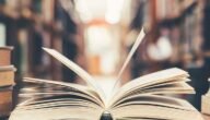 تحميل كتاب تحدث امام الجميع بجاذبية pdf – خليجنا نت