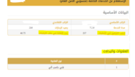 رابط للاستعلام عن عدد نقاط ترقية الأمن العام ، أبشر