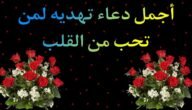 دعاء لمن تحب في الله وأجمل دعاء لمن تحب