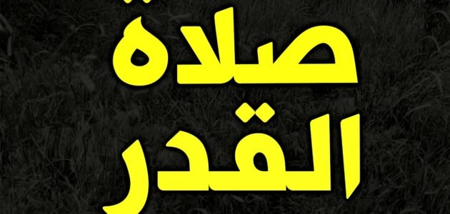 صلاة ليلة القدر كم ركعة