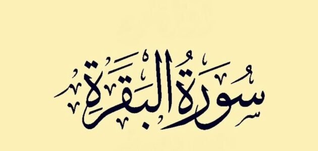 تجربتي مع قيام الليل بسورة البقرة