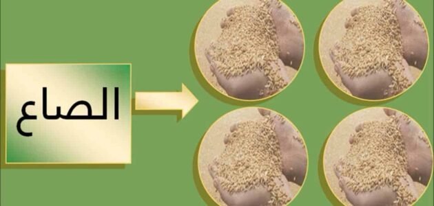 جدول مقدار الصاع بالكيلو 2023