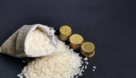 حكم إخراج زكاة الفطر في العشر الأواخر من رمضان