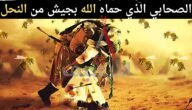 من هو الصحابي الذي حمى الله جسده بالنحل