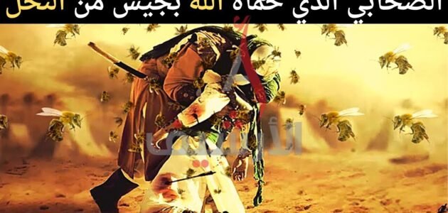 من هو الصحابي الذي حمى الله جسده بالنحل