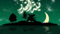 ما هو فضل ليلة القدر ومكانتها وموعدها ودعاؤها والأعمال المستحبة فيها