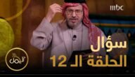 من هو مقدم برنامج الجمل بما حمل 2023