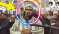 من هو وليد مهساس ويكيبيديا السيرة الذاتية – خليجنا نت
