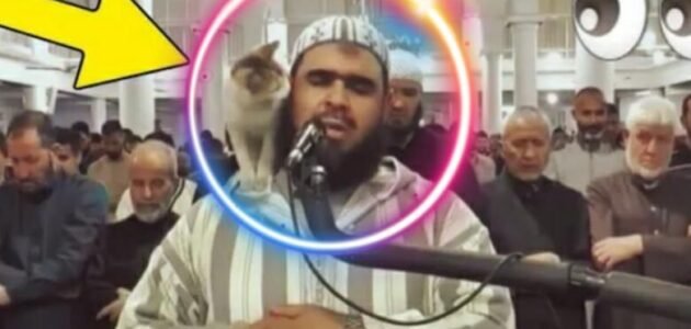 من هو وليد مهساس ويكيبيديا السيرة الذاتية – خليجنا نت