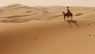 المولد وش يرجع ، أصل المولد من أى قبيلة