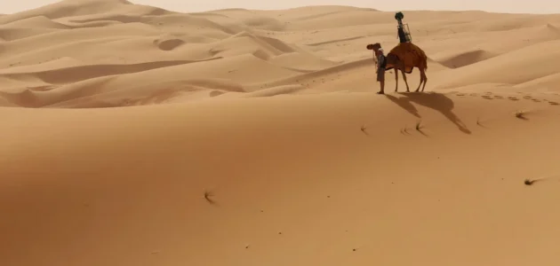 المولد وش يرجع ، أصل المولد من أى قبيلة