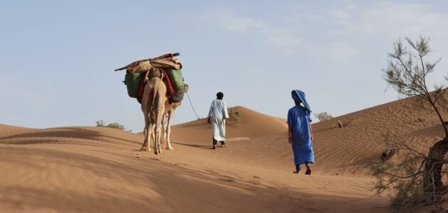 المورقي وش يرجع ، أصل عائلة المورقي وش يرجعون