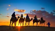المعيدي وش يرجعون ، اصل عائلة المعيدي من اي قبيلة