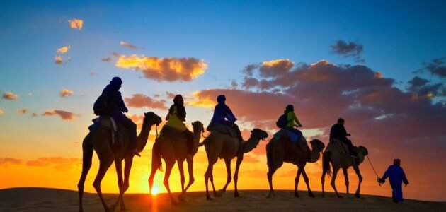 المعيدي وش يرجعون ، اصل عائلة المعيدي من اي قبيلة