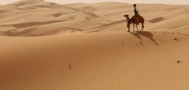 الهزيمي وش يرجع ، أصل عائلة الهزيمي من وين