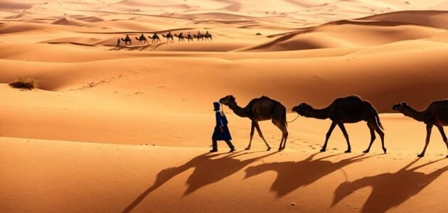 الذايدي وش يرجعون ، اصل عائلة الذايدي من وين 1 الذايدي وش يرجعون ، اصل عائلة الذايدي من وين