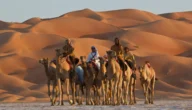 البقمي وش يرجع ، اصل عائلة البقمي من وين