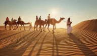 الدهمشي وش يرجع ، اصل عائلة الدهمشي من اي قبيلة