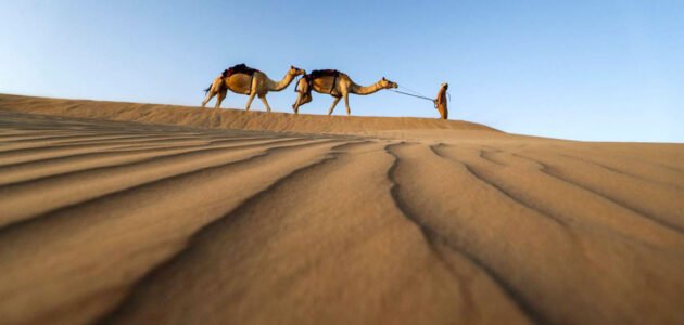 القثامي وش يرجع ، أصل عائلة القثامي من وين