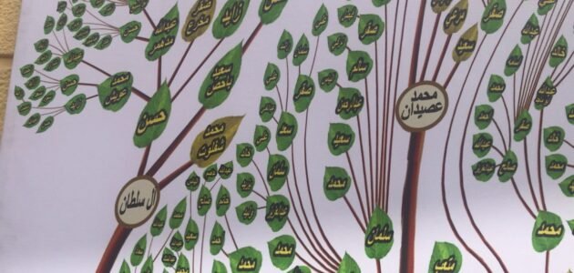 العلياني وش يرجعون ، أصل عائلة العلياني من وين