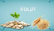 كم يبلغ مقدار زكاة الفطر 2023 في اسبانيا – خليجنا