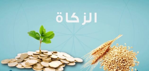 كم يبلغ مقدار زكاة الفطر 2023 في اسبانيا – خليجنا