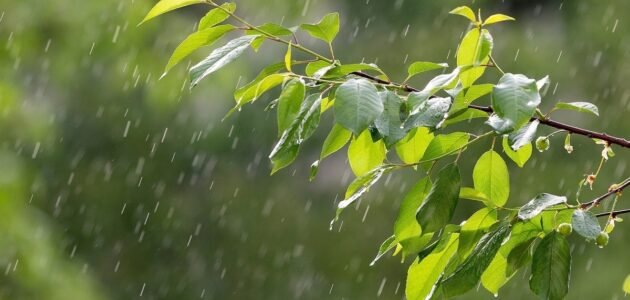 هل يعتبر المطر من علامات ليلة القدر – خليجنا