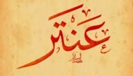 ماذا يعني اسم عنترة في اللغة العربية