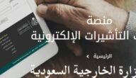 منصة خدمات التأشيرات الإلكترونية إنجاز بالسعودية 2023