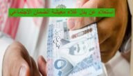 استعلام عن بدل غلاء معيشة الضمان الاجتماعي