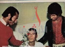 من هو هاني مصطفى ويكيبيديا