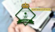 كم مدة الزيارة العائلية المفردة بالسعودية 2023