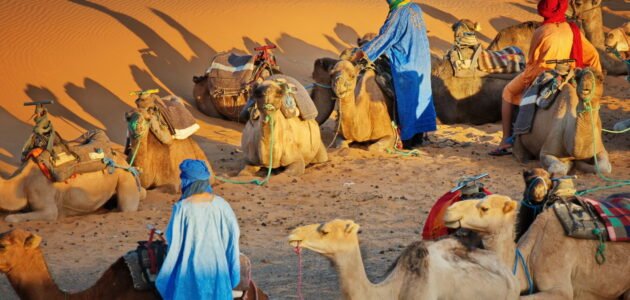 ما هي اكبر قبيلة في جازان