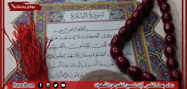 دعاء جهاد النفس.. آيات تحصين النفس من الشهوات