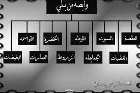 اصل عائلة الوابصي وش يرجع